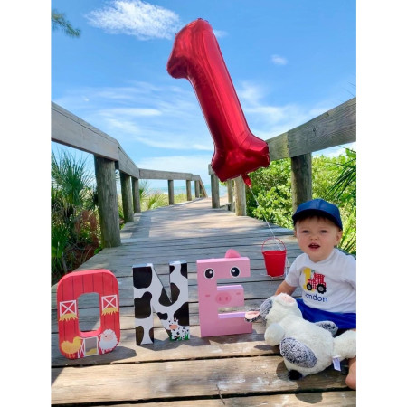 Balon din Folie Metalizata Cyrax, Figurina Cifra, Tema Aniversare 80 cm, Ambalaj Individual, Pai inclus, Umflare cu Aer sau Heliu, Rosu, Cifra 1