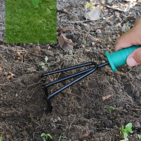 Set 5 accesorii pentru gradinarit  geanta depozitare inclusa, otel inoxidabil, 18.5 x 29.5 cm, verde