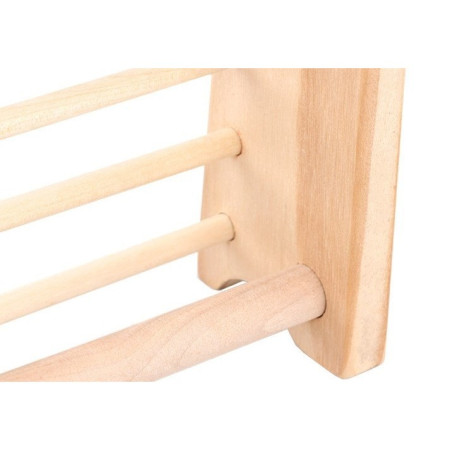 Numaratoare Cyrax, din Lemn, Vopsea Ecologica, 10 Siruri x 10 Margele, 4-6 Ani, 24.5 x 20.5 cm, Multicolor