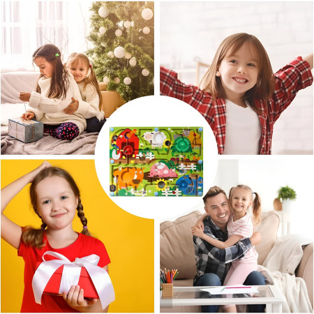 Joc Montessori de Sortare Culori, Cyrax, Creion Magnetic, Tip Labirint Ilustrat, din Lemn, Model Ferma, 39x29x1.5 cm