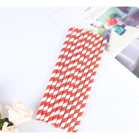 Set 16 Paie, Cyrax, pentru Masa de Craciun, din Hartie, 19.7 cm,Alb-Rosu