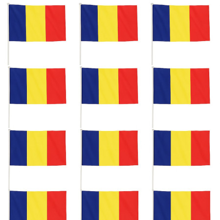 Set 12 Steaguri de Mana Tricolor,  Dimensiune 20x30 cm, Stegulet, Drapel