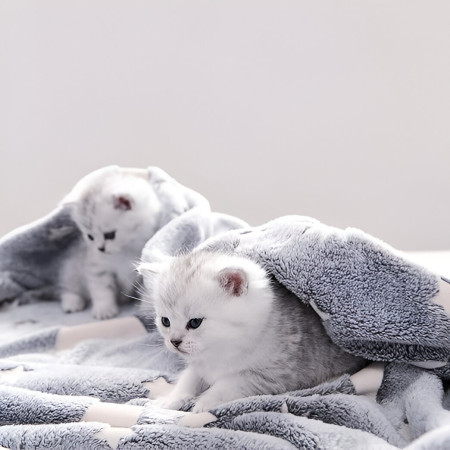 Patura Fosforescenta,  Moale, Pufoasa, Lumineaza in Intuneric, 1.5x2 m, Model Cer Instelat, Gri