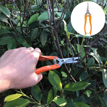 Set 12 Unelte de Gradina,  pentru Plantare Prelucrare Sol si Ingrijire Plante, Manere Portocalii, Material PVC si Cardboard, Cutie Inclusa, 37x28 cm, Negru