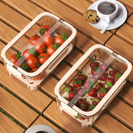 Cutie pentru Depozitare Alimente, Cyrax, de Uz Casnic, 2 Compartimente, Zona pentru Gheata, Mentinere Fresh, cu Maner, Material PET, 23x15x10.8 cm, Bej