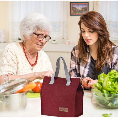 Geanta Termoizolanta Tip Bento Bag Cyrax, Camping Cooler, Aluminiu, 22.5x13x25,5 cm, 3.3 L, Visiniu