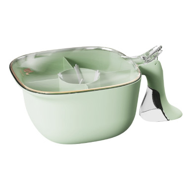 Cutie de Depozitare a Condimentelor, Cyrax, de Uz Casnic, cu Maner Stabil, cu Capac, 4 Compartimente Principale, 21 x 14 x 10 cm, Verde