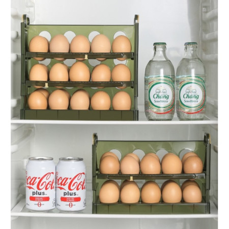 Suport Organizator pentru Oua, Cyrax, pentru Frigider, Verde transparent, Capacitate 20 oua, Doua straturi, cu Data de Expirare, 25.5x10x17 cm
