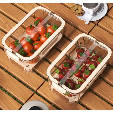 Cutie pentru Depozitare Alimente, Cyrax, de Uz Casnic, 2 Compartimente, Zona pentru Gheata, Mentinere Fresh, cu Maner, Material PET, 23x15x10.8 cm, Bej