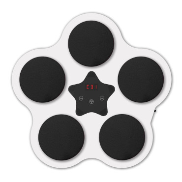 Jucarie de Boxat cu Muzica si Lumini, Cyrax, Bluetooth, Incarcare USB, Aplicare cu Ventuze, 5 Tinte, 40x38x8 cm, 930 g, Alb