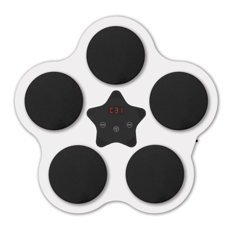 Jucarie de Boxat cu Muzica si Lumini, Cyrax, Bluetooth, Incarcare USB, Aplicare cu Ventuze, 5 Tinte, 40x38x8 cm, 930 g, Alb