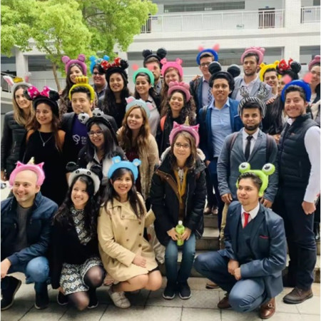 Balon din Folie Metalizata, Cyrax, Tip Coronita cu Urechi, Model Flamingo, Ambalaj Individual, Pai Inclus, Umflare cu Aer sau Heliu, 28 x 27 cm, Roz