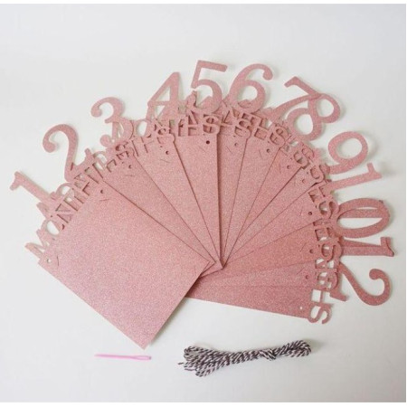 Banner pentru Poze, Cyrax, 15.2x10.2 cm, Tema Prima Aniversare, Model Primele 12 Luni, Rola Ata Inclusa, Roz