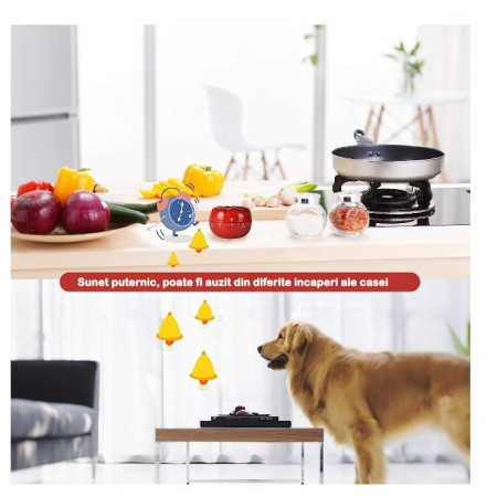 Cronometru mecanic de bucatarie Cyrax, forma de rosie, 60 de minute, 6.3 x 4.5 cm, material ABS, rosu