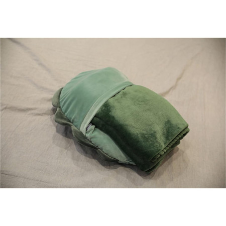 Patura 2in1 pentru Pat sau Canapea,  Model Jucarie Dinozaur cu Spatiu de Depozitare Patura, Microfibra, 1x1.7 m, Verde