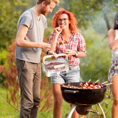 Cutie pentru Depozitare Alimente, Cyrax, de Uz Casnic, 2 Compartimente, Zona pentru Gheata, Mentinere Fresh, cu Maner, Material PET, 23x15x10.8 cm, Bej